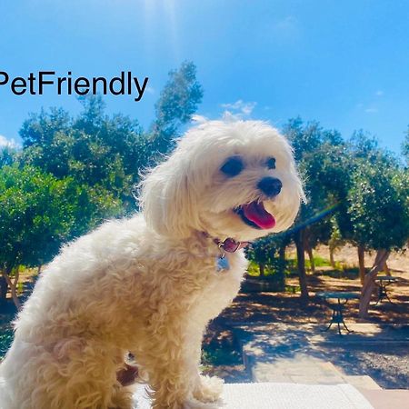 Bungalow Sequero #Pet Friendly Tuineje エクステリア 写真