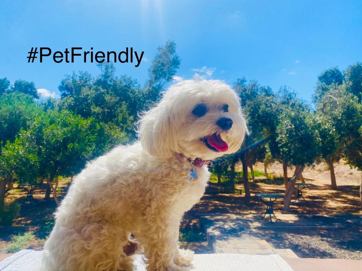 Bungalow Sequero #Pet Friendly Tuineje エクステリア 写真
